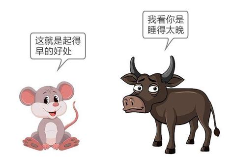 12生肖之首|为什么老鼠被认为是十二生肖中的首位？